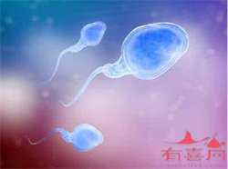 杭州正规的供卵机构有哪些,【国内有哪些正规的供卵机构】去年四月份宝宝两